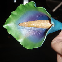 Peacock Colored Calla Lily This is a gumpaste calla that I airbrushed in the various colors of peacock feathers.
