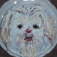 Lhasa Apso Birthday Cake This was my first attempt at decorating a cake for my mom's birthday. It's supposed to look like her dog. Anyway, I knew nothing...