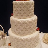 White Circle Cake 