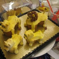 Lion Family A family of lions.. make of regular & mini cupcakes, marshmallows, pretzels, and buttercream icing