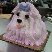 Purple Shih Tzu doggie cake I did at work (Harris Teeter).. she wanted a shih tzu and she wanted it purple- lol