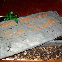 Halloween 2009 I made this cake for my daughter's brownie troop
