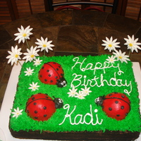 1St Birthday Cake all butter cream, the daisies are fondant