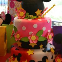 Mickey & Minnie Birthday Cake For my 2 grandchildren who are 3. Cake is fondant covered with gumpaste flowers and decorations