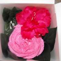 Cupcake In A Box This was a jumbo cupcake individually boxed.