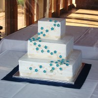 Vineyard Wedding This is my first wedding cake. I learned a LOT from this cake... this was the first time I've ever matched blue flowers. She was very...