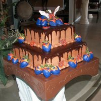 Auburn Themed Groom's Cake Auburn colors for the strawberries and AU's, Eagle on top is candy melts