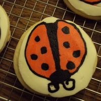 Butterfly My first attempt at frozen buttercream transfers.