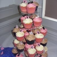 Cupcakes For Kaye Chocolate and Vanilla cupcakes, choc/choc and vanilla/vanilla cake and frosting. I wanted to do strawberry frosting for the pink but my...