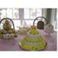 Lara's Bridal Shower 