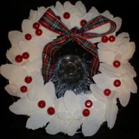 Christmas Cupcake Wreath Inspired by Hello, Cupcake! Cupcake wreath with white chocolate leaves and sour cherry candies.