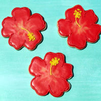 Hisbiscus Cookies Sugar cookies with glaze and royal icing accents. Made for a church picnic and inspired by Glorious Treats blog.