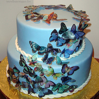 "new Life" Cake I made this cake for the party my sister threw today to celebrate her triumph over breast cancer. It is exactly one year since we sat down...