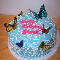 Decadent Butterfly Madness! 