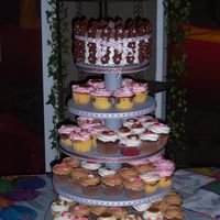 100_1816.jpg Candy Barrel cake with cupcake tower