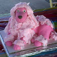 Pink Poodle my first carved cake .made for my daughters 5th birthday head is rkt