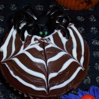 Halloween Spider Cupcake Chocolate cupcake with icing. Gel for the web. Spider is iciing with licorice legs.