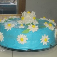 Daisy Anniversary Cake A 2 layer cake I made for my mom and dad's anniversary. Their wedding cake was covered with daisies. I used buttercream with MMF...