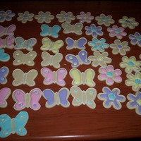 Butterflies And Flowers 