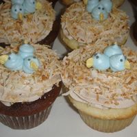 Baby Blue Birds This is a Martha Stewart project. they were super cute. I actually set my oven on fire making these!