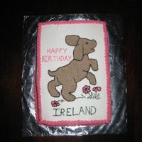 Puppy Cake All butter cream frosting.