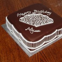 Stringwork Practice Cake Too many new techniques on one cake! First time: covering square cake with fondant, doing cornelli lace, trying Lambeth style, stringwork...