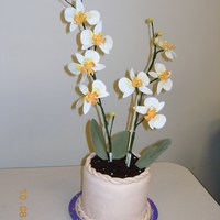 Orchid Cake gum paste flowers and leaves with fondant icing.