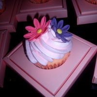 Pink Daisy Cupcakes 