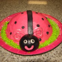 1St Birthday Ladybug Smash Cake 