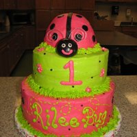 1St Birthday Ladybug 