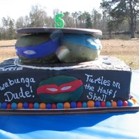 Teenage Mutant Ninja Turtles Tmnt 