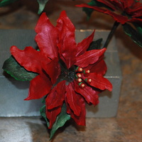 Poinsettia This is the first gumpaste flower I've ever made, and I think it--and its three siblings--came out GREAT!