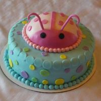 Ladybug This was a first birthday cake and one of my first fondant disasters! The fondant cracked horribly on the edges of the cake, so I attempted...