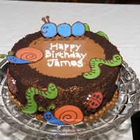 Boy Bugs My niece and nephew are twins, so my sister had a bug themed birthday. This was the boy's cake, I used cake crumbs to make "dirt&...