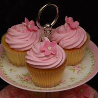 Pink Cupcakes Some pink cupcakes for my wife's birthday. I used marshmallow icing (not the marshmallow fondant).