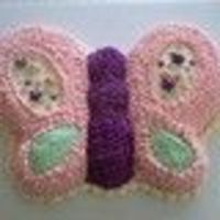 Butterfly Cake 