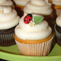Ladybug Cupcakes 