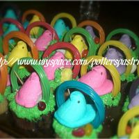 Peep Chick Cupcakes! Cupcakes, grass tip icing, marsh chicks, fruit twizzler handles and various easter candy decorations.