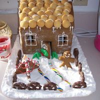 000_0031.jpg First gingerbread house! (The first of many more- got my whole household into the holiday spirit in no time!)