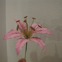 Gumpaste Stargazer Lily My first stargazer lily. Thanks to Edna for her DVD.