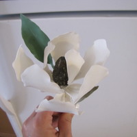 Magnolia My first gumpaste magnolia. I followed a few different tutorials to get an idea of how to make it. Takes alot of patience waiting for each...