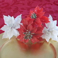 Gumpaste Poinsettias Gumpaste poinsettias made after watching Edna's Poinsettia DVD. If you like this flower, get the DVD. You won't be disappointed...