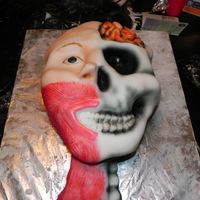 Getting A-Head On Anatomy Just a basic vanilla cake with BC icing. Uniquely carved to my liking. This shows the human head in its form in the muscle, skeleton, brain...