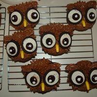 Owl Cupcakes I made some owl cupcakes to say thank you to one of my friends for driving me to school.