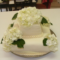 Small Square Wedding Cake This cake was for a small wedding for a second marriage. White cake with layers of buttercream and fresh sliced strawberries. Buttercream...