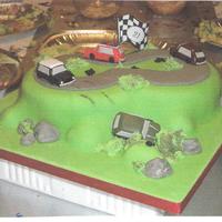 'mini' Fan's 21St Birthday Cake 