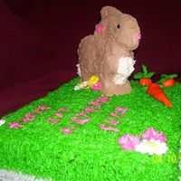 Final Bunny Cake Here's just a different angle. I taught myself the daisies, daffodils, and mmf. I think it turned out nice for being one of my 1st...