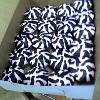 Zebra Cupcakes These cupcakes were vanilla, covered in light pink buttercream and then zebra stripes were piped onto the top! They were for a wedding...