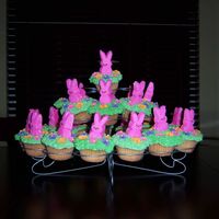Bunny Cupcakes 