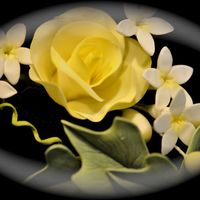 Yellow Gumpaste Rose Yellow gumpaste rose with stephanotis filler flowers and english ivy. Thanks for looking !